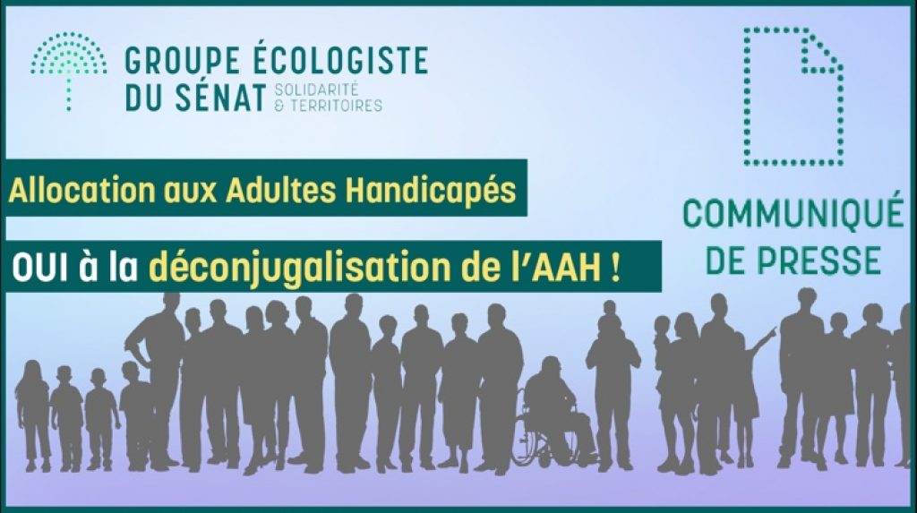 Allocation Aux Adultes Handicapes Aah Il Faut Transformer L Essai A L Assemblee Nationale Groupe Ecologiste Du Senat